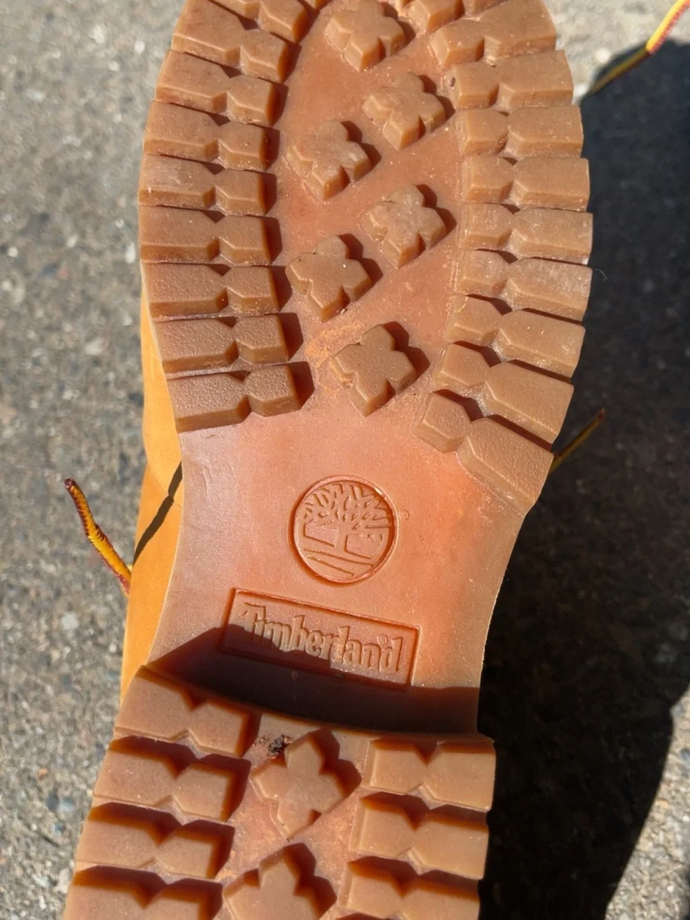 Timberland lightly used